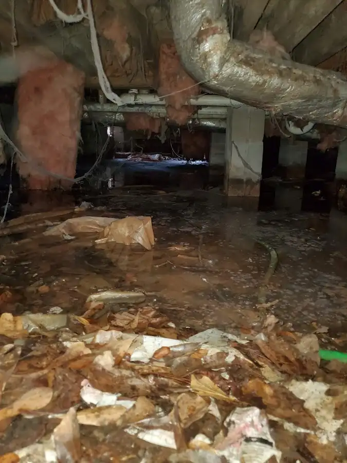 Crawl space flood assessment for Commercial Water Damage Restoration in Elkhorn