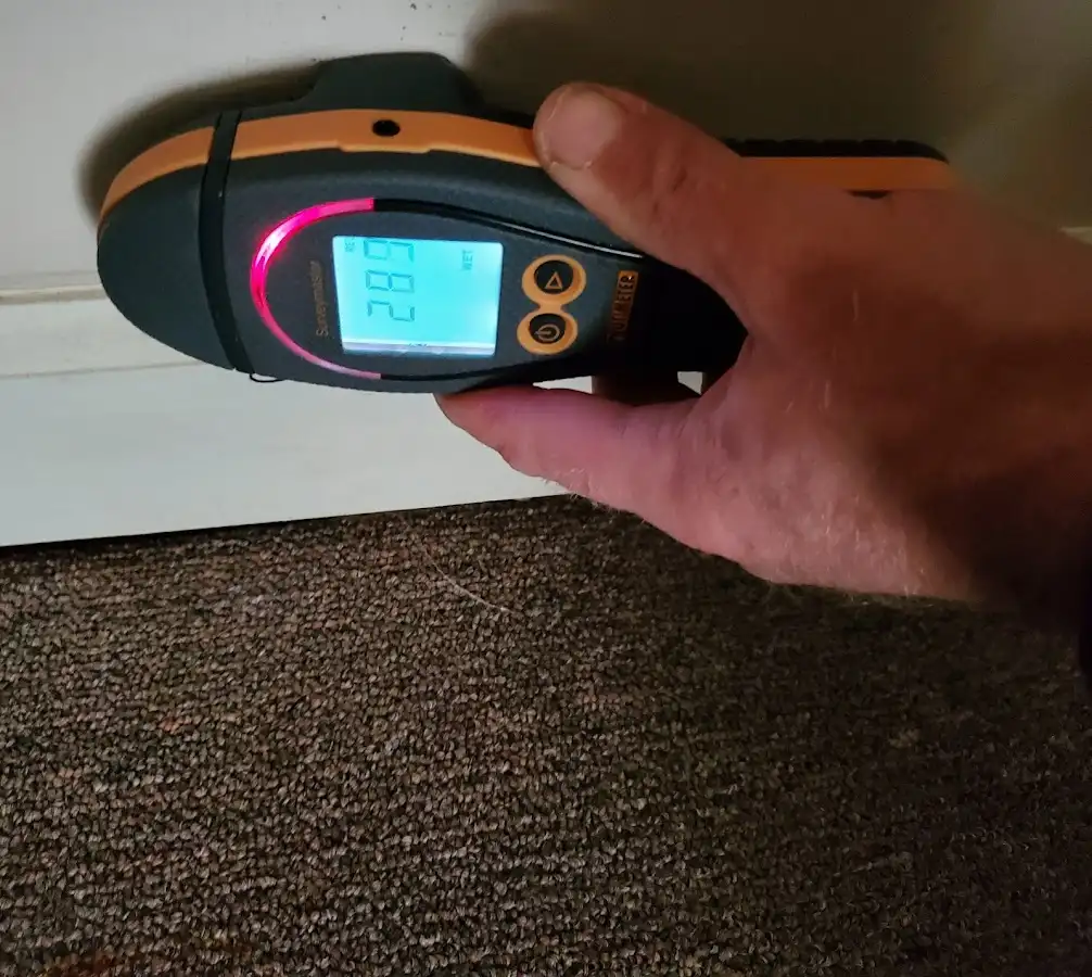 Moisture detection at baseboard during Sewage Cleanup & Sanitation in Elkhorn